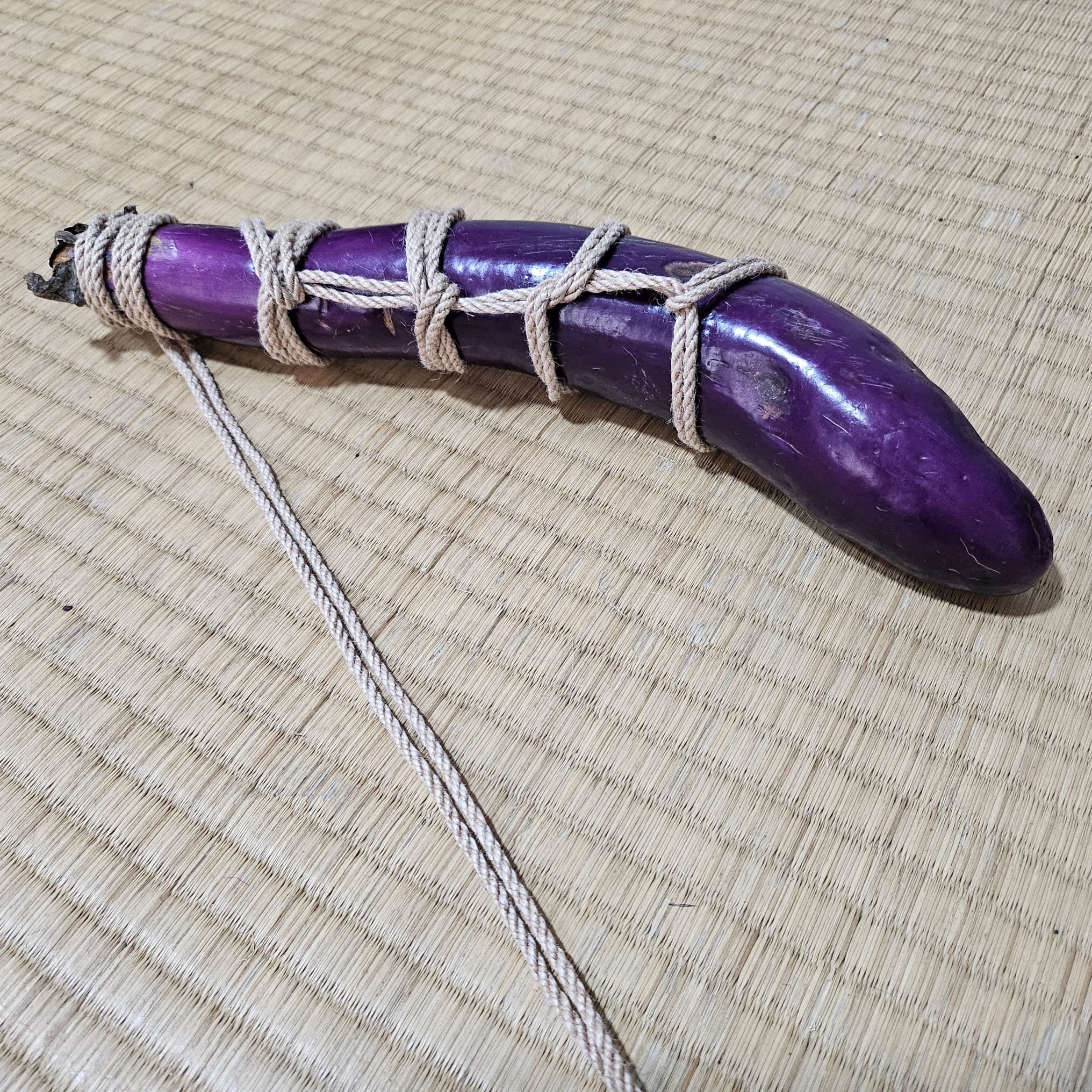 Eggplant tied in shibari rope, representing Cock and Ball Torture.