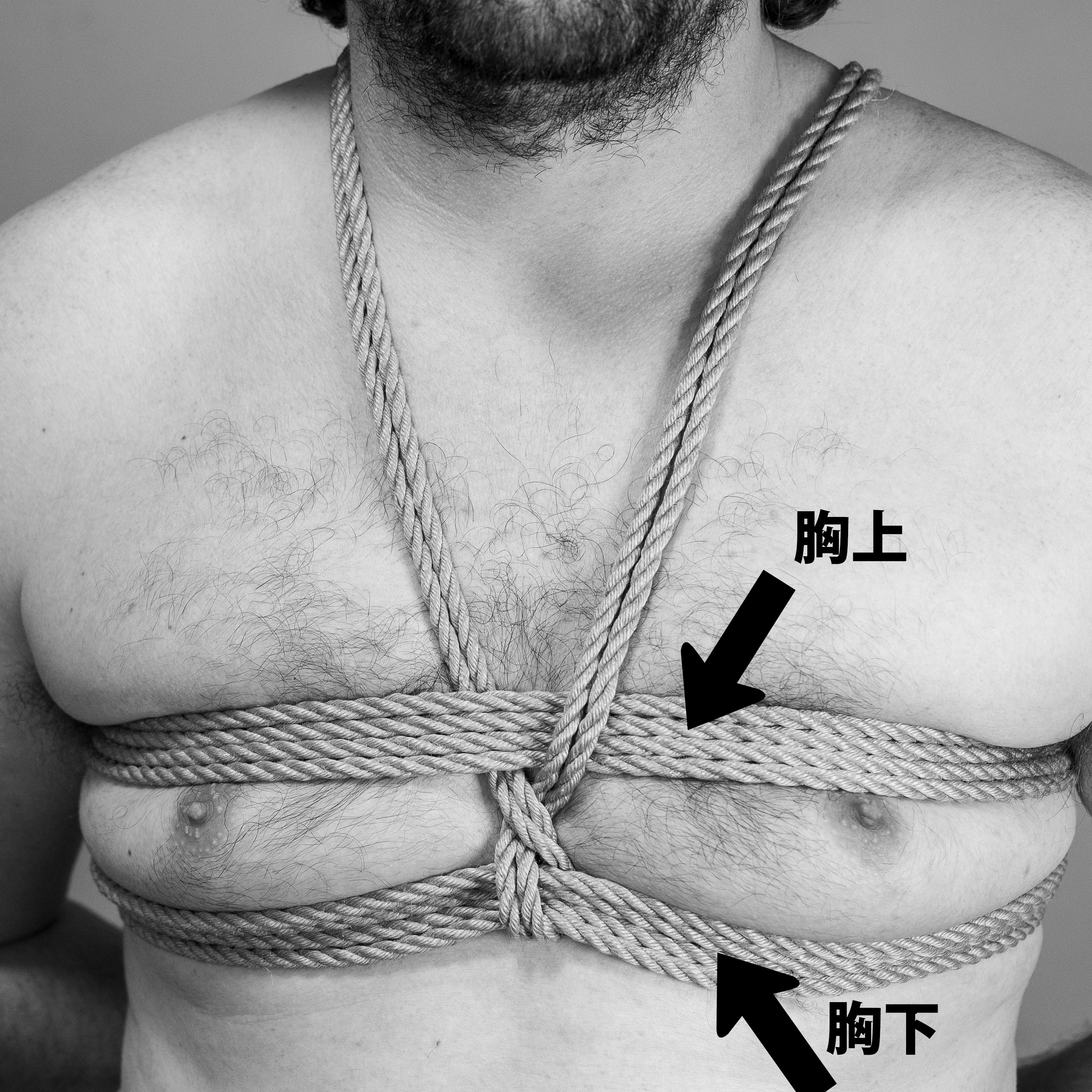 Muneue 胸上 shibari Muneshita 胸下