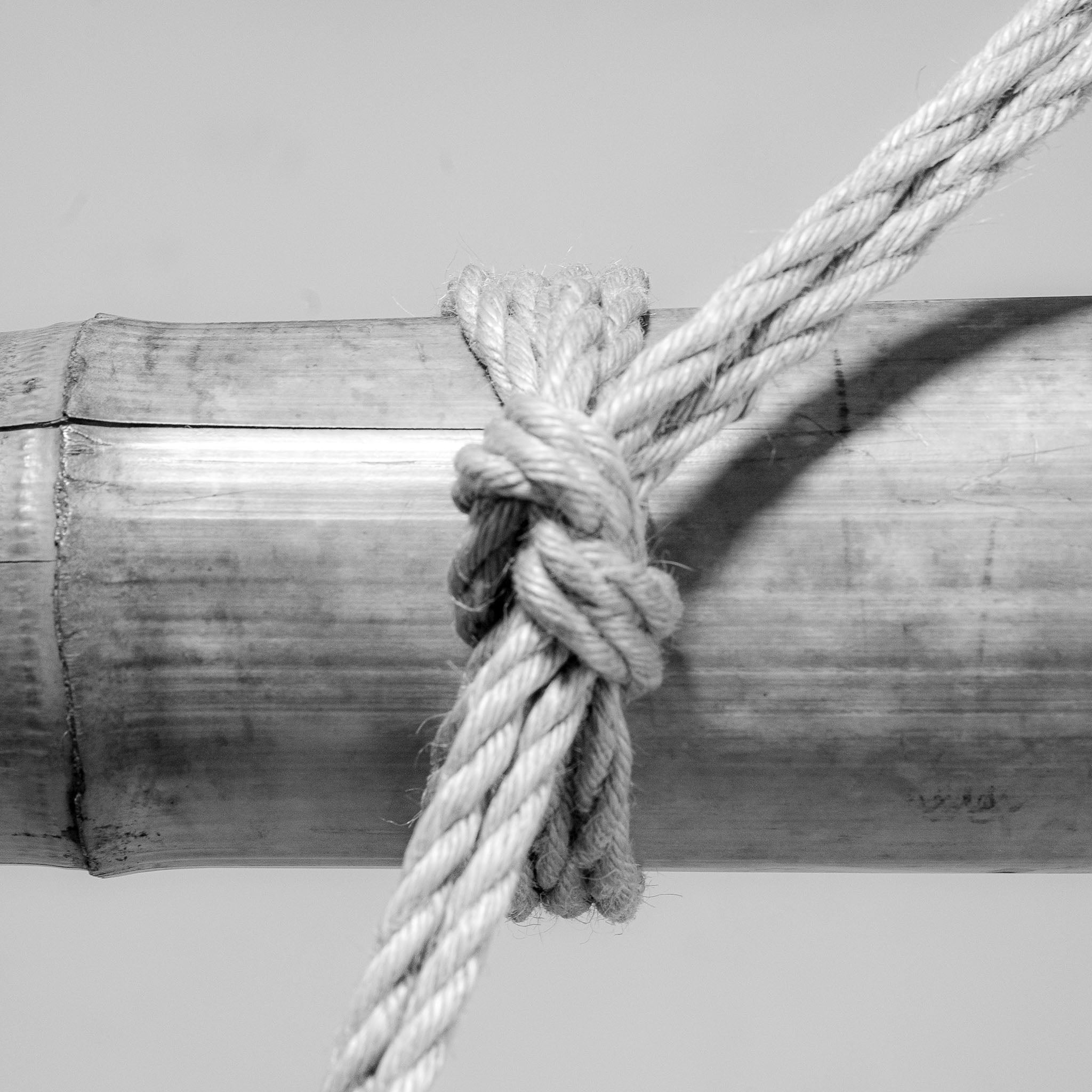 Shibari Knot Guide - Visual Guide to Single Columns – RebornRopes