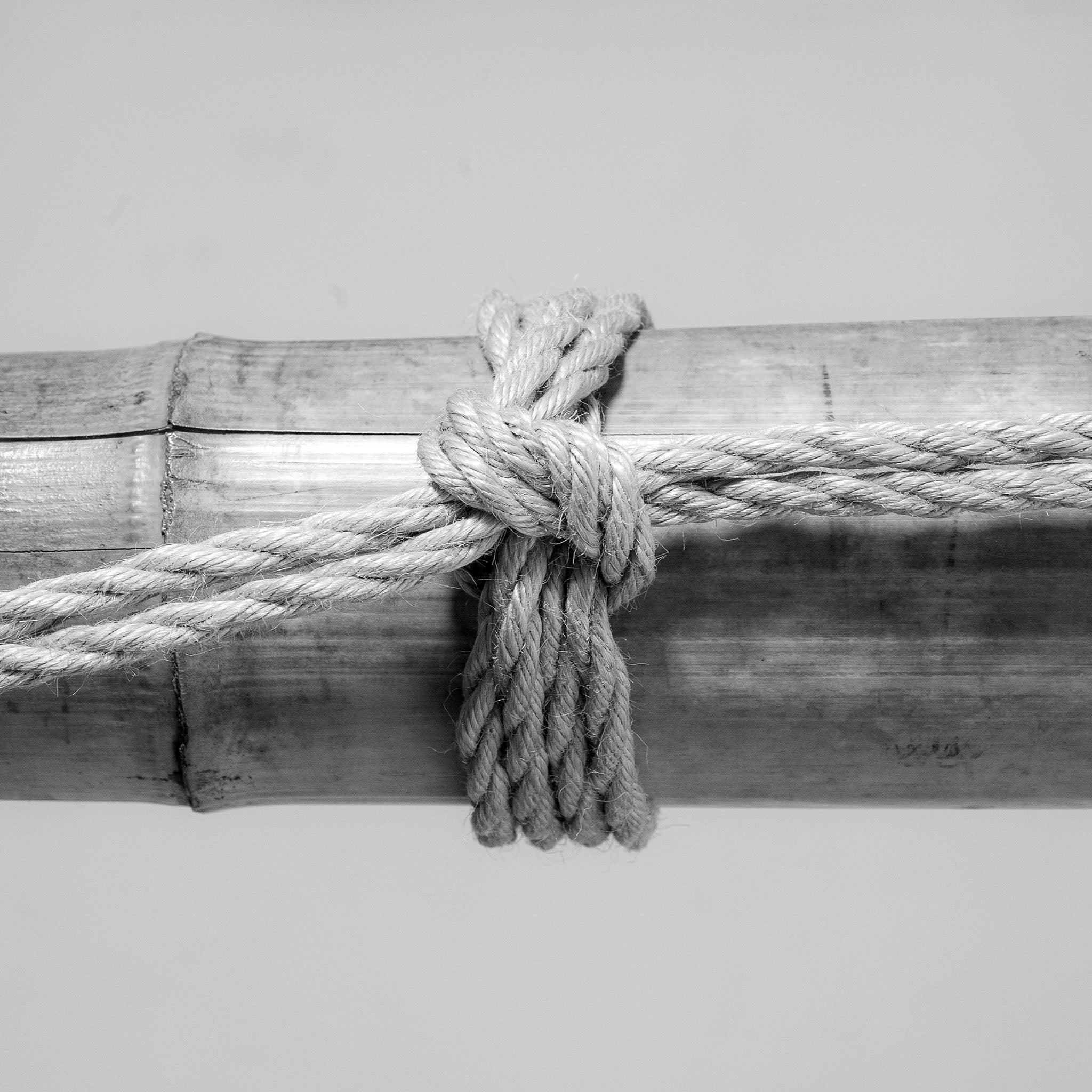 Shibari Knot Guide - Visual Guide to Single Columns – RebornRopes