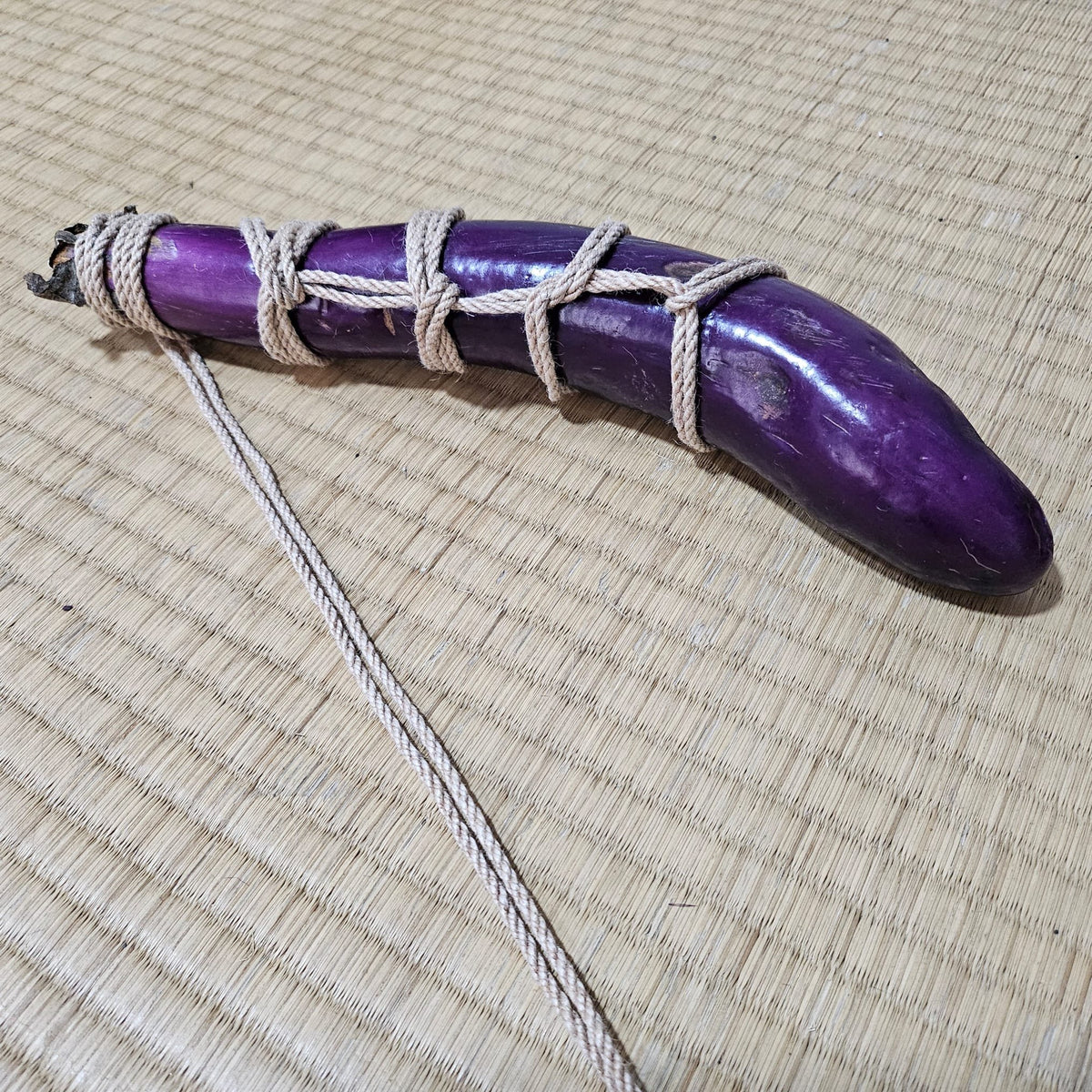Shibari Positions - An Easy Beginners Guide – RebornRopes
