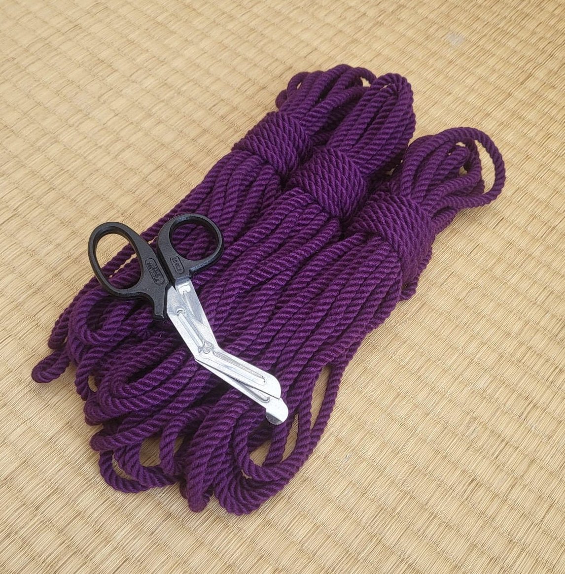 Galaxy Purple Bamboo Bondage Rope - Speedy Delivery – RebornRopes