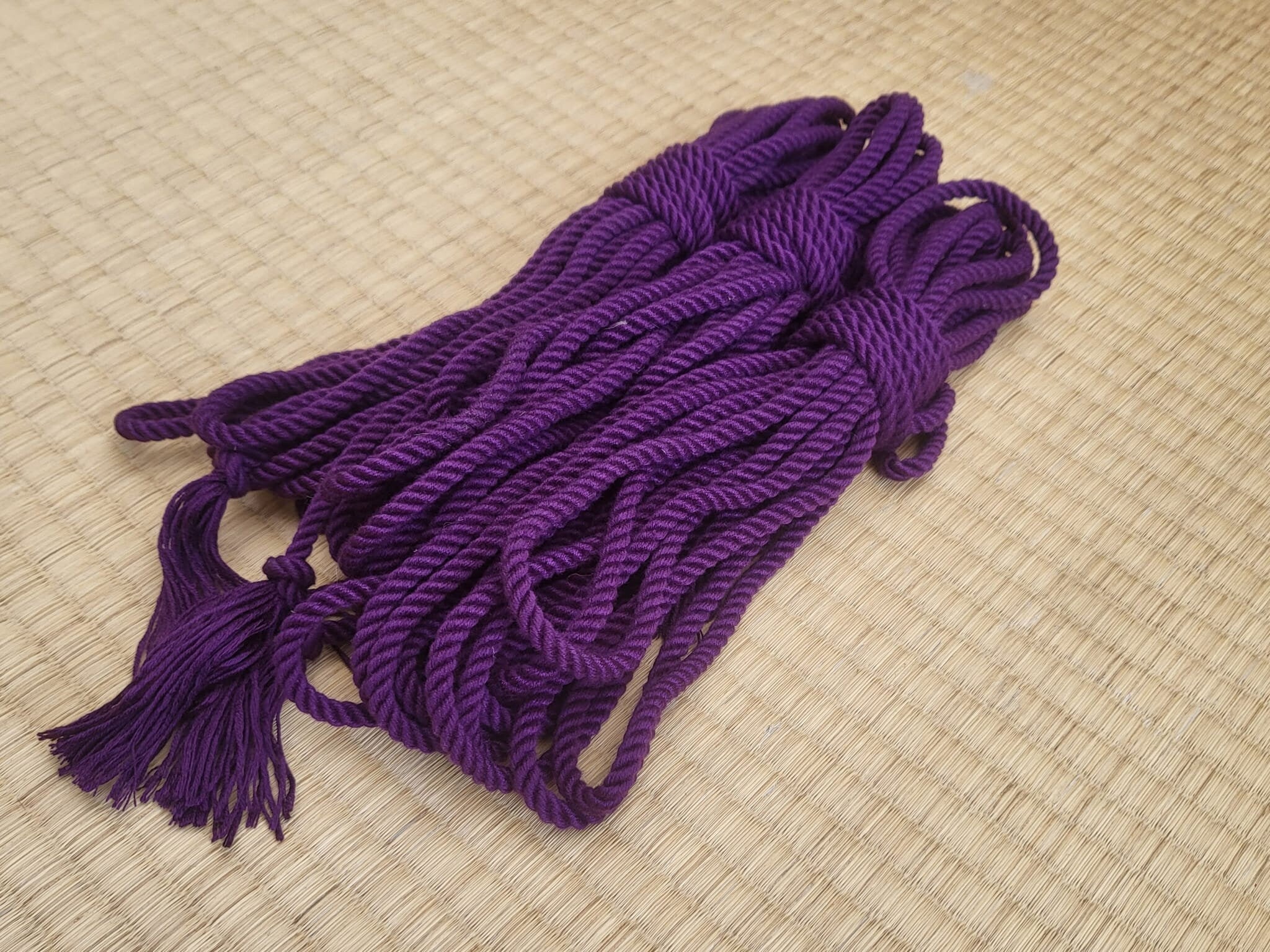 Galaxy Purple Bamboo Bondage Rope - Speedy Delivery – RebornRopes