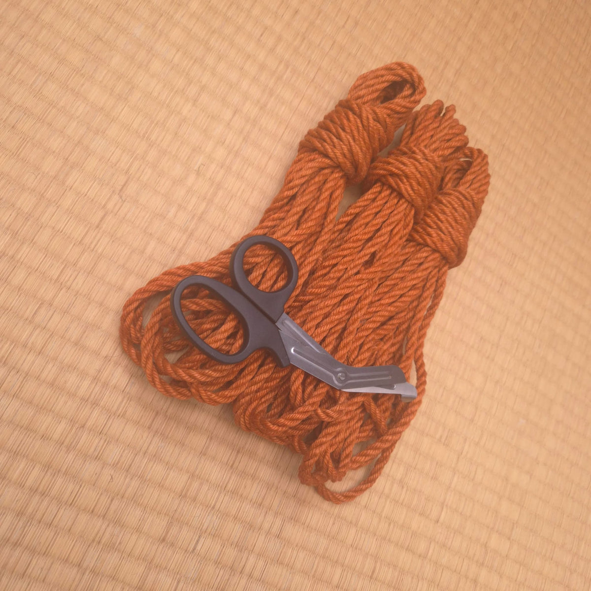 Pumpkin - Fully Treated Jute Shibari Rope