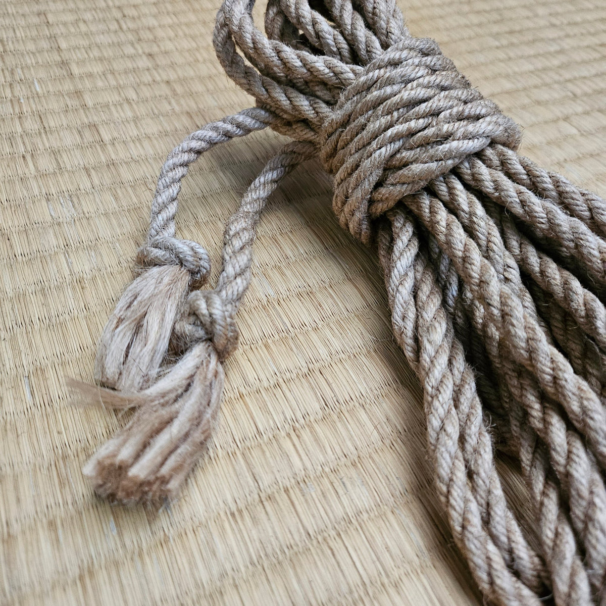 Guide To Shibari Knots - The Double Coin Chest Harness Easily ...